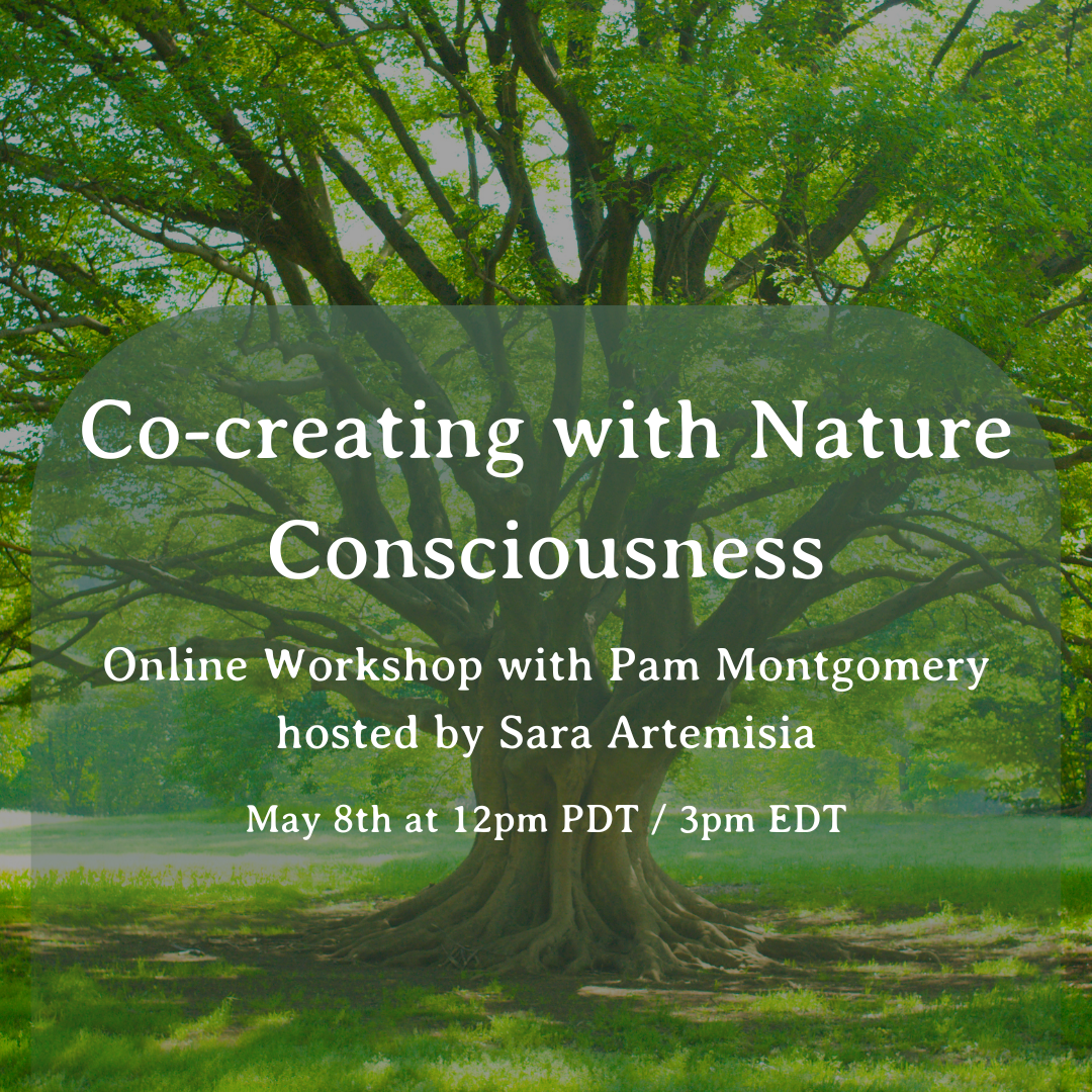 Co-creating with Nature Consciousness Online Workshop