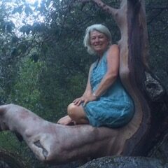 pam in madrone